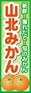 のぼり　みかん　蜜柑　ミカン　山北みかん　のぼり旗