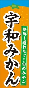 のぼり　みかん　蜜柑　ミカン　宇和みかん（うわみかん）　のぼり旗