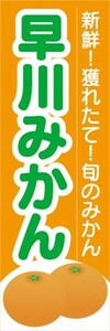 のぼり　みかん　蜜柑　ミカン　早川みかん　のぼり旗