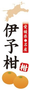 のぼり　柑橘類　愛媛県名産　伊予柑　いよかん　のぼり旗