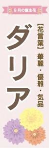 のぼり　ダリア　9月の誕生花　お花　イベント　のぼり旗