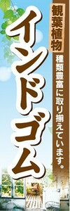 のぼり　ガーデン　観葉植物　インドゴム　種類豊富に取り揃えています。　のぼり旗