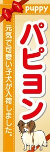 のぼり　のぼり旗　パピヨン 可愛い子犬が入荷 ドッグ