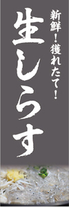 のぼり　のぼり旗　生しらす　シラス