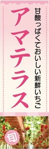 のぼり　いちご　イチゴ　苺　アマテラス　のぼり旗