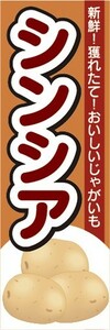 のぼり　じゃが芋　じゃがいも　シンシア　のぼり旗