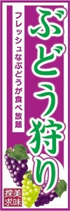 のぼり　味覚狩り　フルーツ　果物　ぶどう狩り　のぼり旗