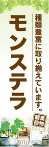 のぼり　ガーデン　観葉植物　モンステラ　種類豊富に取り揃えています　のぼり旗