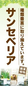 のぼり　ガーデン　観葉植物　サンセベリア　種類豊富に取り揃えています。　のぼり旗