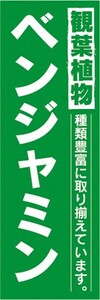 のぼり　ガーデン　観葉植物　ベンジャミン　種類豊富に取り揃えています。　のぼり旗