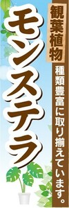 のぼり　ガーデン　観葉植物　モンステラ　種類豊富に取り揃えています　のぼり旗