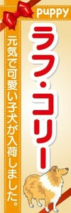 のぼり　のぼり旗　ラフ・コリー 可愛い子犬が入荷