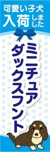 のぼり　のぼり旗　ミニチュアダックスフント 可愛い子犬入荷