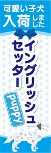 のぼり　のぼり旗　イングリッシュセッター 可愛い子犬が入荷