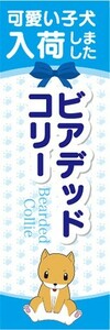 のぼり　のぼり旗　ビアデッドコリー 可愛い子犬が入荷