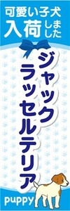 のぼり　のぼり旗　ジャックラッセルテリア 可愛い子犬が入荷