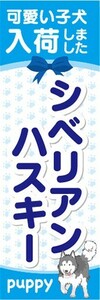 のぼり　のぼり旗　シベリアンハスキー 可愛い子犬が入荷