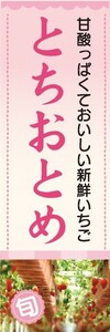 のぼり　いちご　イチゴ　苺　とちおとめ　のぼり旗