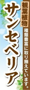 のぼり　ガーデン　観葉植物　サンセベリア　種類豊富に取り揃えています。　のぼり旗