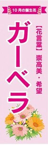 のぼり　ガーベラ　10月の誕生花　お花　イベント　のぼり旗