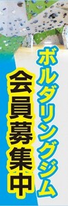 のぼり　のぼり旗　 ボルダリングジム 会員募集中 クライミング