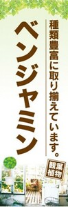 のぼり　ガーデン　観葉植物　ベンジャミン　種類豊富に取り揃えています。　のぼり旗