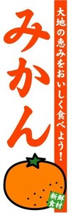 のぼり　のぼり旗　みかん　大地の恵みをおいしく食べよう！