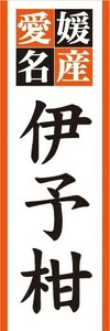 のぼり　柑橘類　愛媛県名産　伊予柑　いよかん　のぼり旗