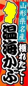 のぼり　のぼり旗　山形県名産　穫れたて！　温海かぶ