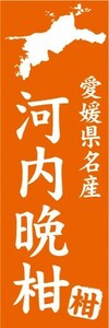 のぼり　柑橘類　愛媛県名産　河内晩柑　かわちばんかん　のぼり旗