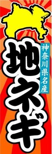 のぼり　のぼり旗　神奈川県名産　地ネギ