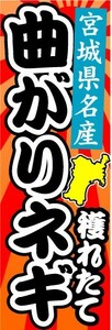 のぼり　のぼり旗　宮城県名産　曲がりネギ　穫れたて