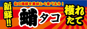 横断幕　横幕　水産物　海産物　新鮮！穫れたて　タコ　蛸