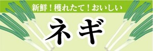 横断幕　横幕　農産物　野菜　新鮮！穫れたて！おいしい　ネギ　葱