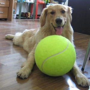 【1円スタート】ビッグサイズ テニスボール 面白いワンちゃんのおもちゃ♪犬 猫 ペット 訓練 インスタ映え♪it44*