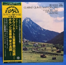 LP クラシック ブラームス クラリネット五重奏曲 ホルン三重奏曲 / ルジーハ 日本盤_画像1