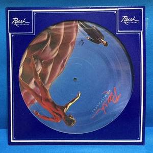 LP Western Music Rush / Hemispheres Rice