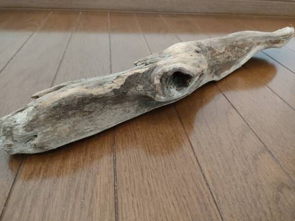 ☆天然流木 水槽 1点物 アクアリウム オブジェ アート 52×9×6.5cm 大和川 爬虫類 トカゲ ヘビ インテリア 魚 めだか 隠れ家