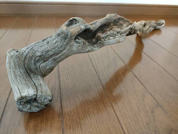 ☆天然流木 水槽 1点物 アクアリウム オブジェ アート 61×13×9cm 大和川 爬虫類 トカゲ ヘビ インテリア 魚 めだか 隠れ家