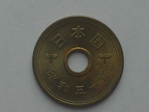 ★昭和50年 5円黄銅貨幣★短期間流通品
