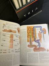 『HI 医学書 図解説 CIBA 9冊揃い COLLECTION OF MEDICAL ILLUSTRATIONS Frank H. Netter 医学洋書 専門書 』_画像5