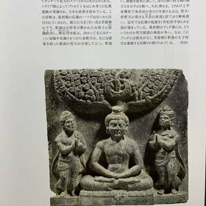 『HI 展覧会図録「ブッダ展 大いなる旅路 図録」仏陀 仏教美術 文化財 BUDDHA The Spread of Buddhist Art in Asia』の画像5