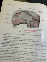 『HI 1977年年 「解剖学①②③巻セット 改訂10版」平沢興・岡本道雄：著書　金原出版』_画像6