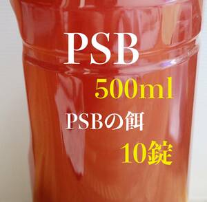 PSB　500ml メダカ　魚　水質浄化　光合成細菌　アクアリウム　水槽【KASUMIめだか】