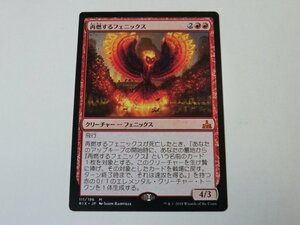 MTG 美品 【再燃するフェニックス】 （神話レア） RIX 日 1枚迄