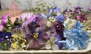 気まぐれ花材BOX☆ももかビオラ