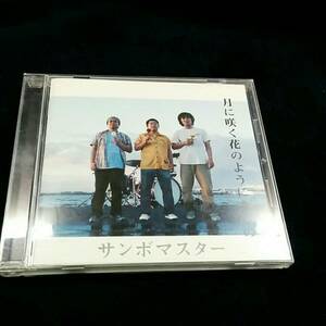 [CD]月に咲く花のようになるの／サンボマスター　手紙／愛しき日々／人はそれを情熱と呼ぶ　国内正規品