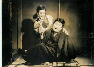 p32292フランキー堺司葉子『愛妻記』白川由美乙羽信子スチル