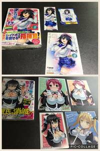 2月新刊★ネトゲの嫁は女の子じゃないと思った? Lv.13巻&5巻+5店舗特典