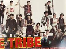 EXILE TRIBE REVOLUTION ＥＸＩＬＥ 2014年8月27日 リリース 告知 ポスター 送料無料です♪_画像3